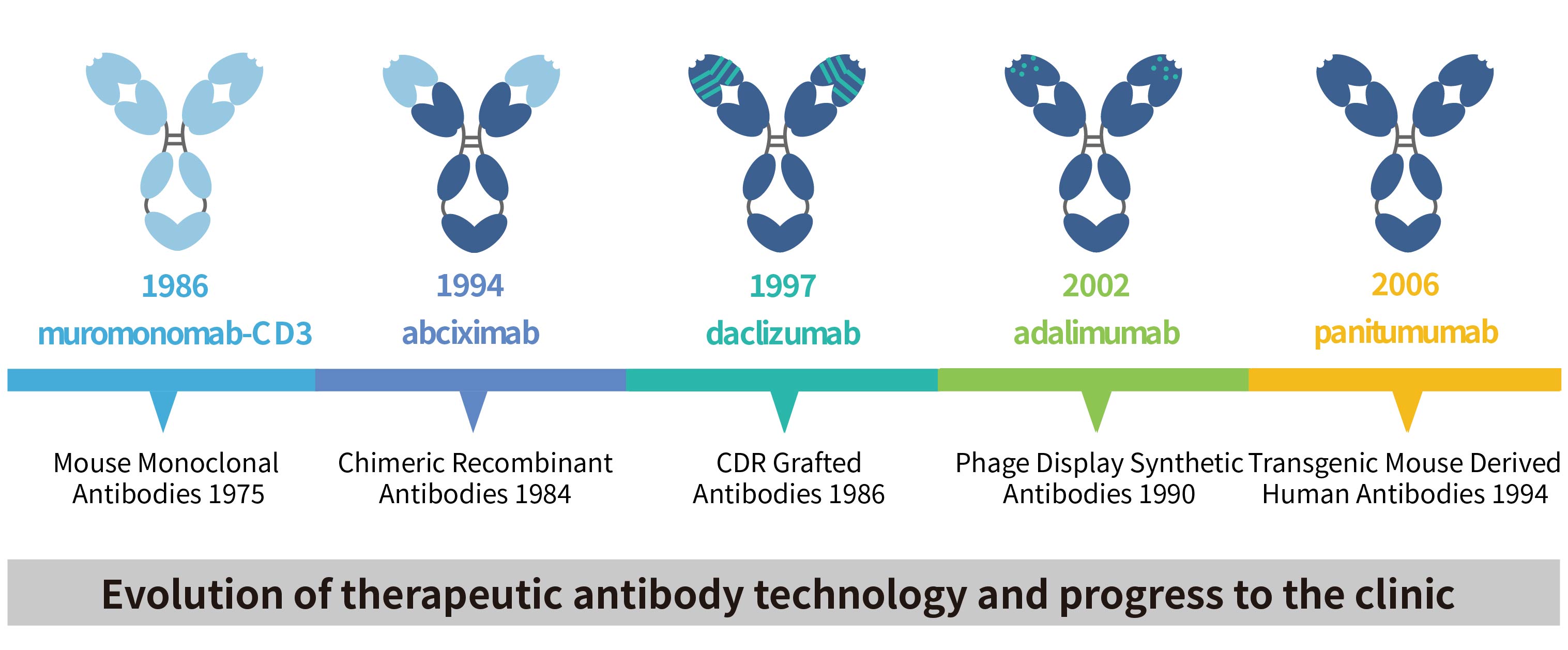 Development-of-antibody-drugs