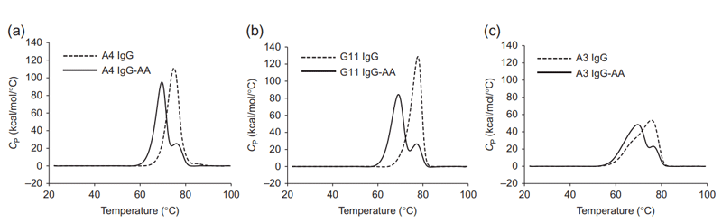 A4、G11和A3的IgG和IgG-AA DSC热分析图