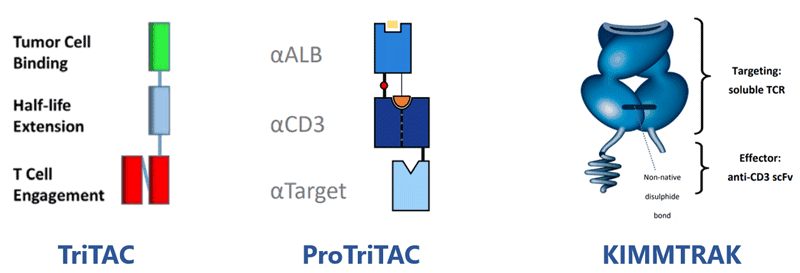 Fragment-based-TCE2