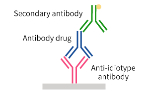 anti-idiotype-antibodies-PK