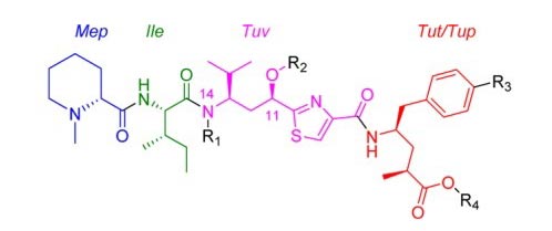 Tubulysins化学结构图