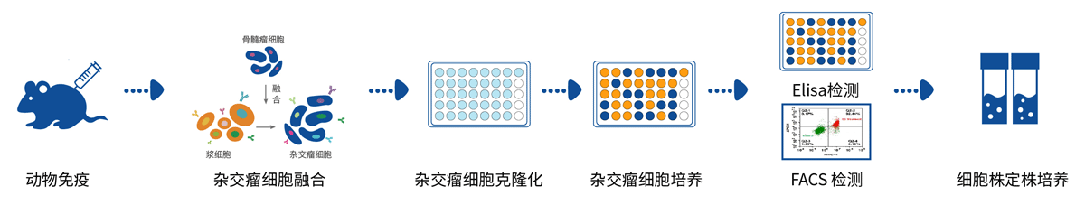 服务流程 服务流程