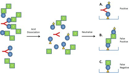 H1-hypervariable-regions-sequence