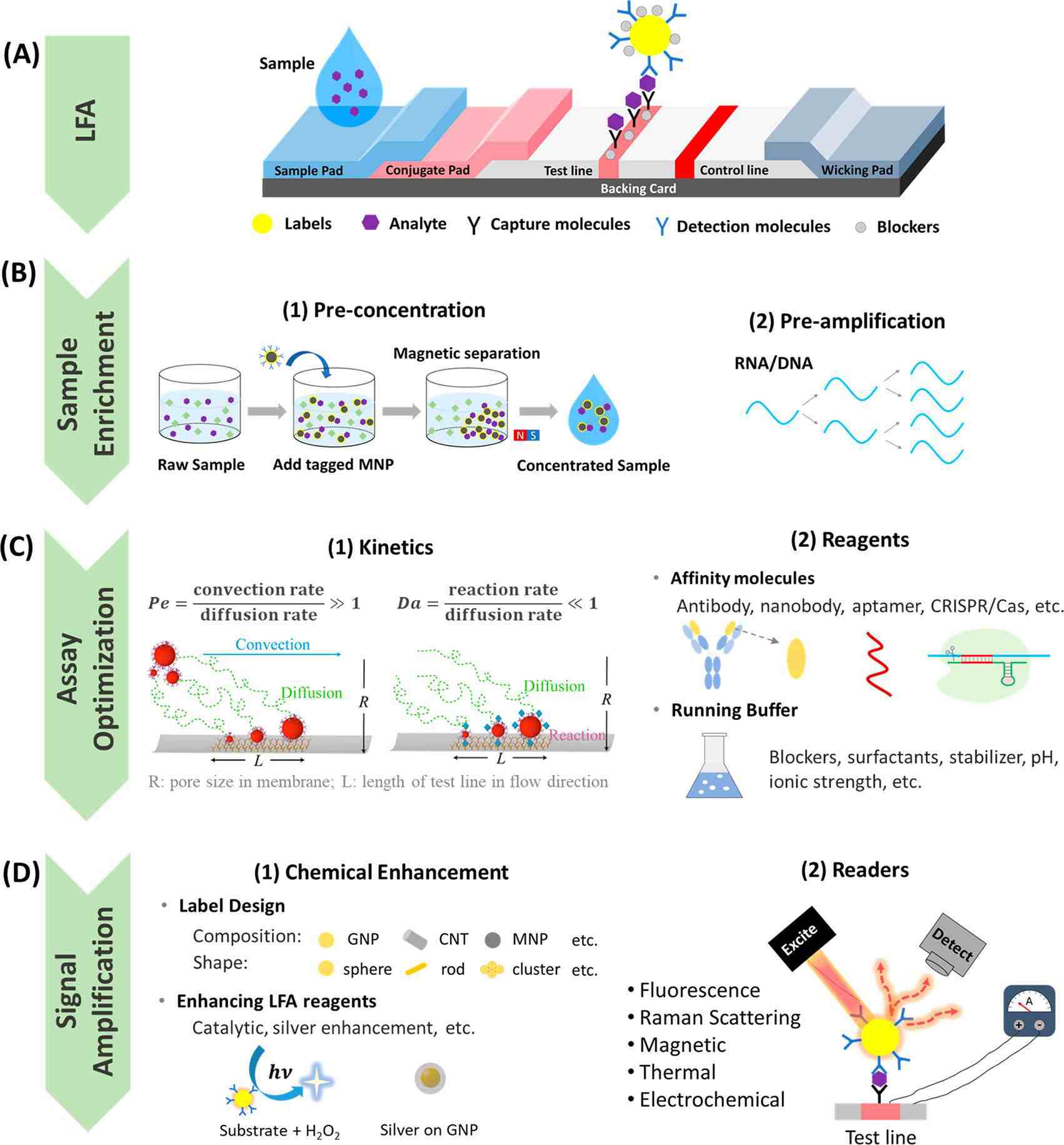提高LFA灵敏度和特异性的策略