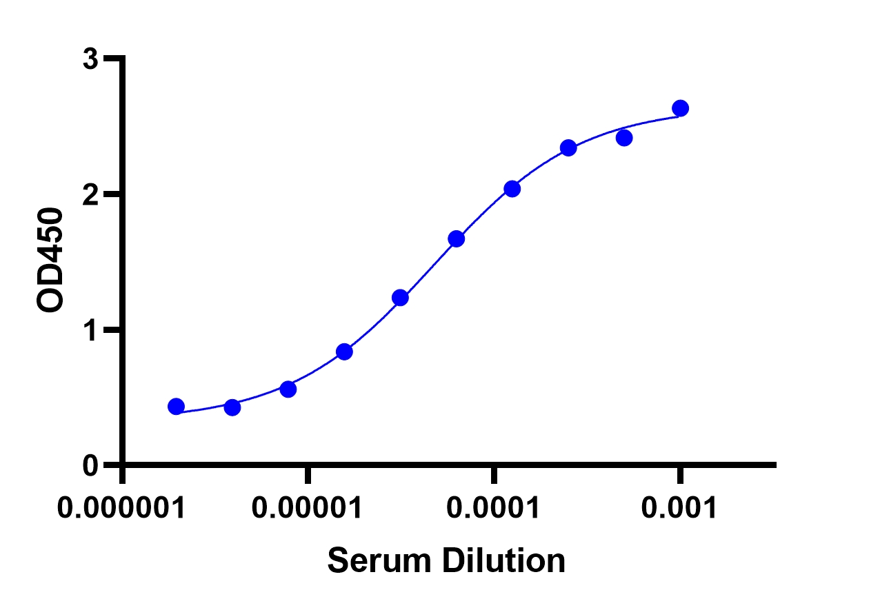 终免血清效价检测结果