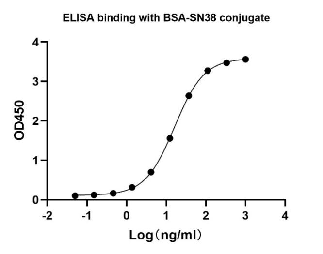 Rabbit Anti SN38 Antibody, mAb