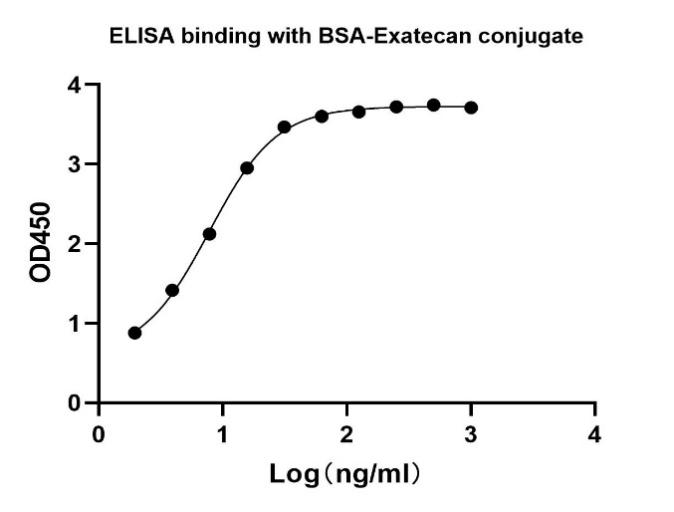 Rabbit Anti Exatecan Antibody, mAb