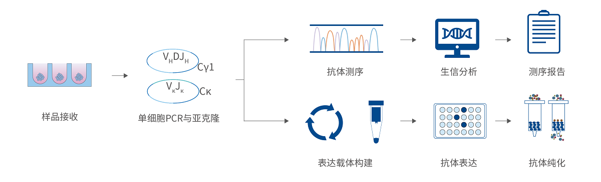 服务流程 服务流程