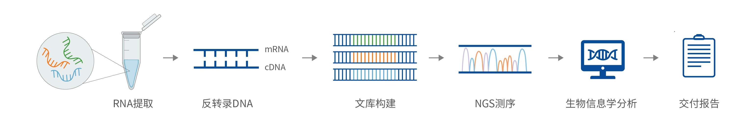 服务流程